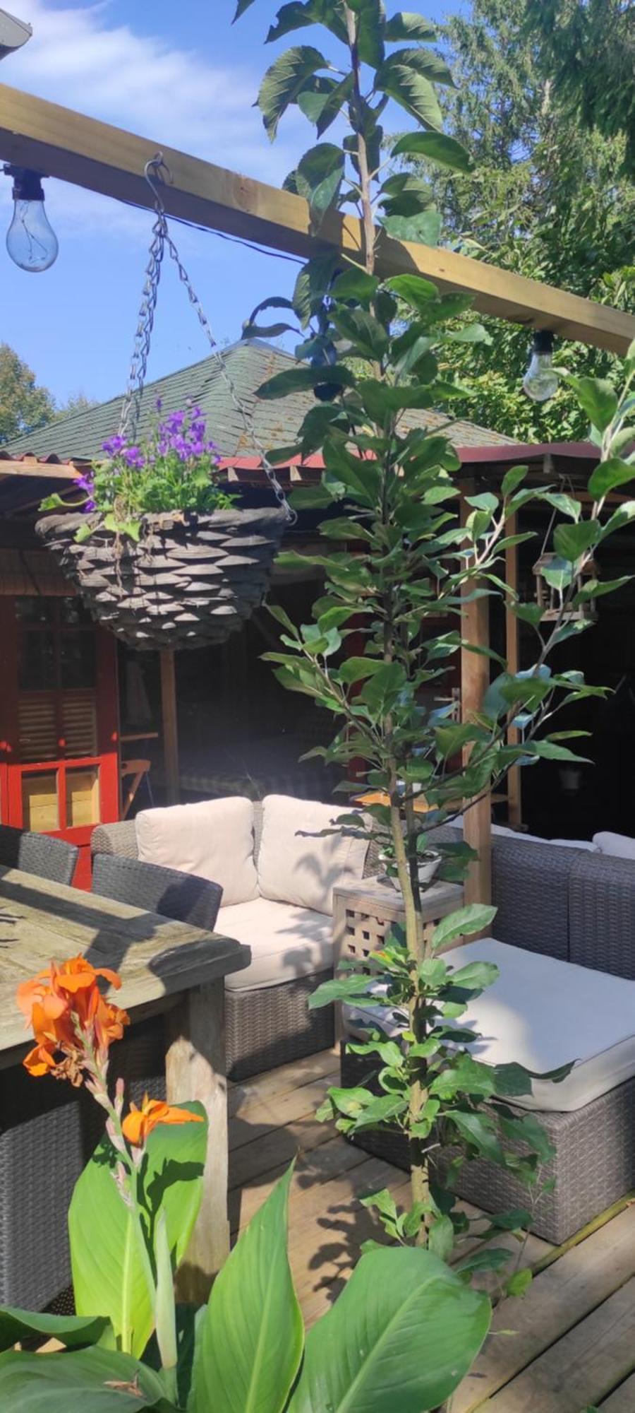 "Tempat Senang" Chalet On The Beautiful Veluwe With Airco Sauna Bbq Jacuzzi Beamer And Dog Putten Exterior photo